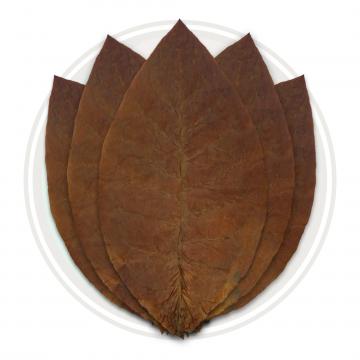 Ecuadorian Habano Viso Cigar Wrapper Whole Tobacco Leaf Cigar Wrapper Whole Tobacco Leaf